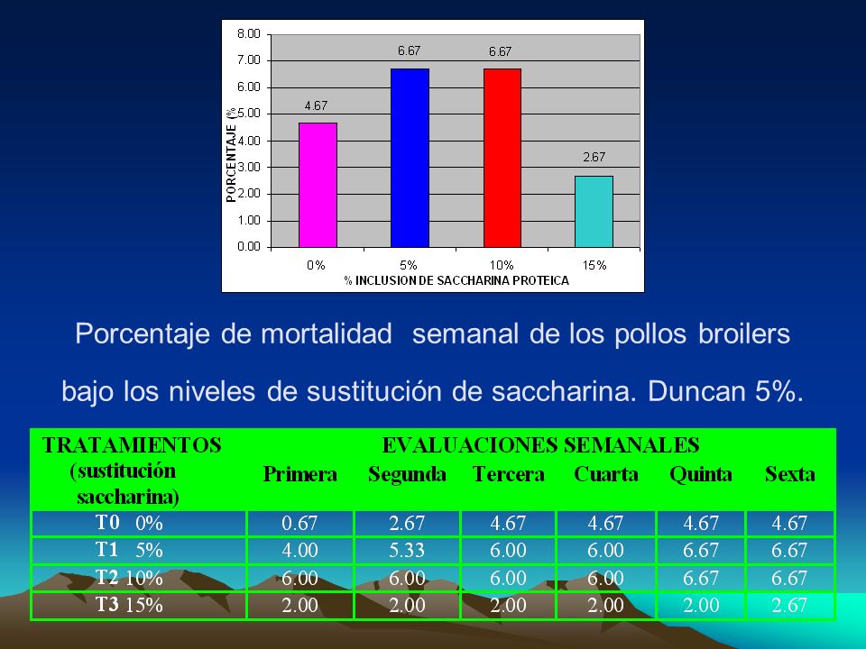 Porcentaje de mortalidad semanal de los pollos broilers bajo los niveles de sustitución de saccharina.