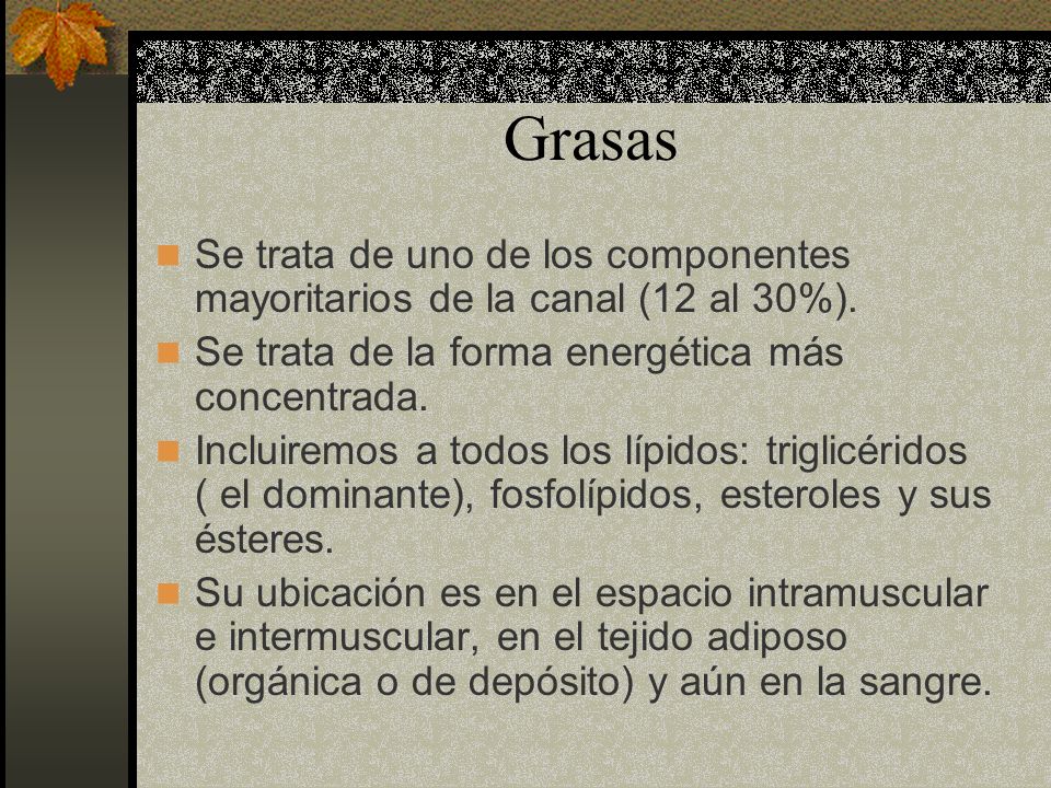 Grasas Se trata de uno de los componentes mayoritarios de la canal (12 al 30%). Se trata de la forma energética más concentrada.