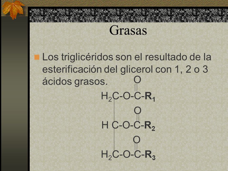 Grasas Los triglicéridos son el resultado de la esterificación del glicerol con 1, 2 o 3 ácidos grasos.