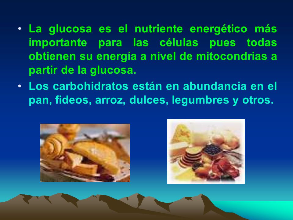 La glucosa es el nutriente energético más importante para las células pues todas obtienen su energía a nivel de mitocondrias a partir de la glucosa.