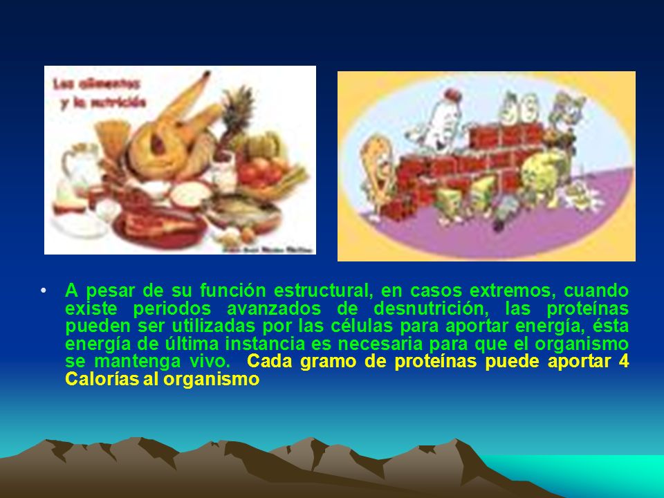 A pesar de su función estructural, en casos extremos, cuando existe periodos avanzados de desnutrición, las proteínas pueden ser utilizadas por las células para aportar energía, ésta energía de última instancia es necesaria para que el organismo se mantenga vivo.