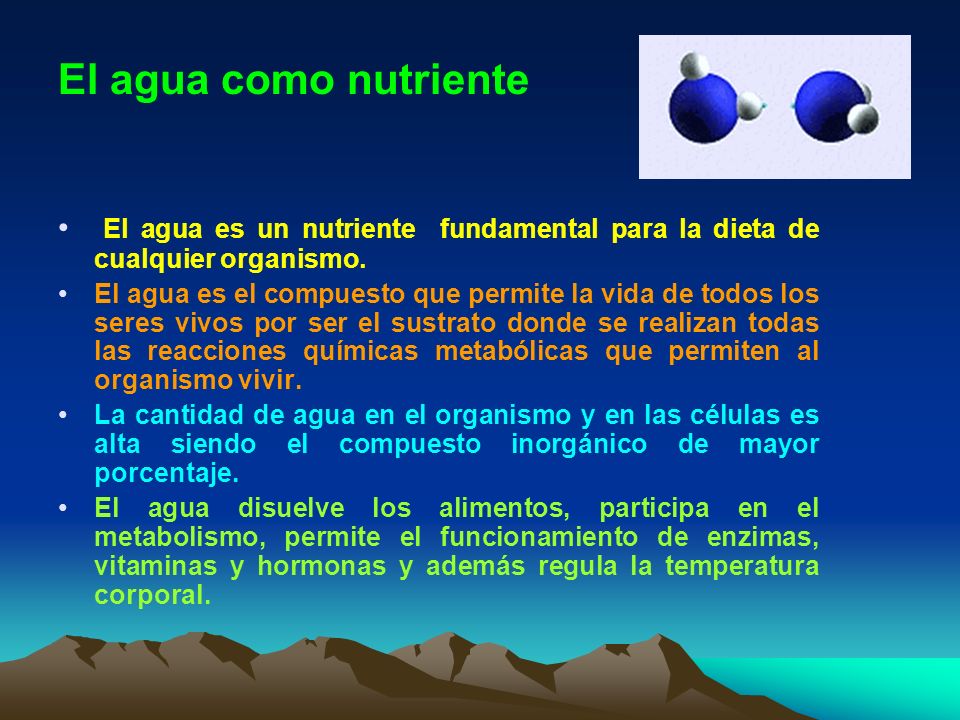 El agua como nutriente El agua es un nutriente fundamental para la dieta de cualquier organismo.