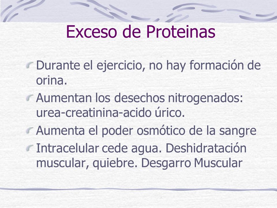 Exceso de Proteinas Durante el ejercicio, no hay formación de orina.