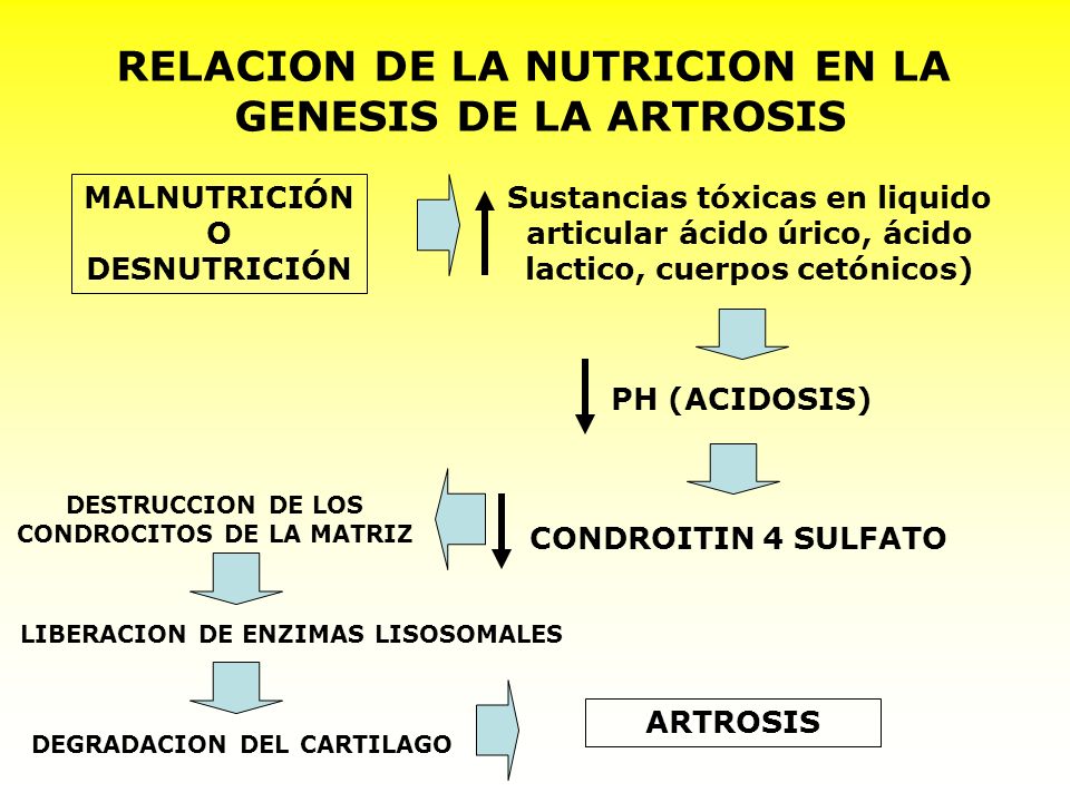 RELACION DE LA NUTRICION EN LA CONDROCITOS DE LA MATRIZ