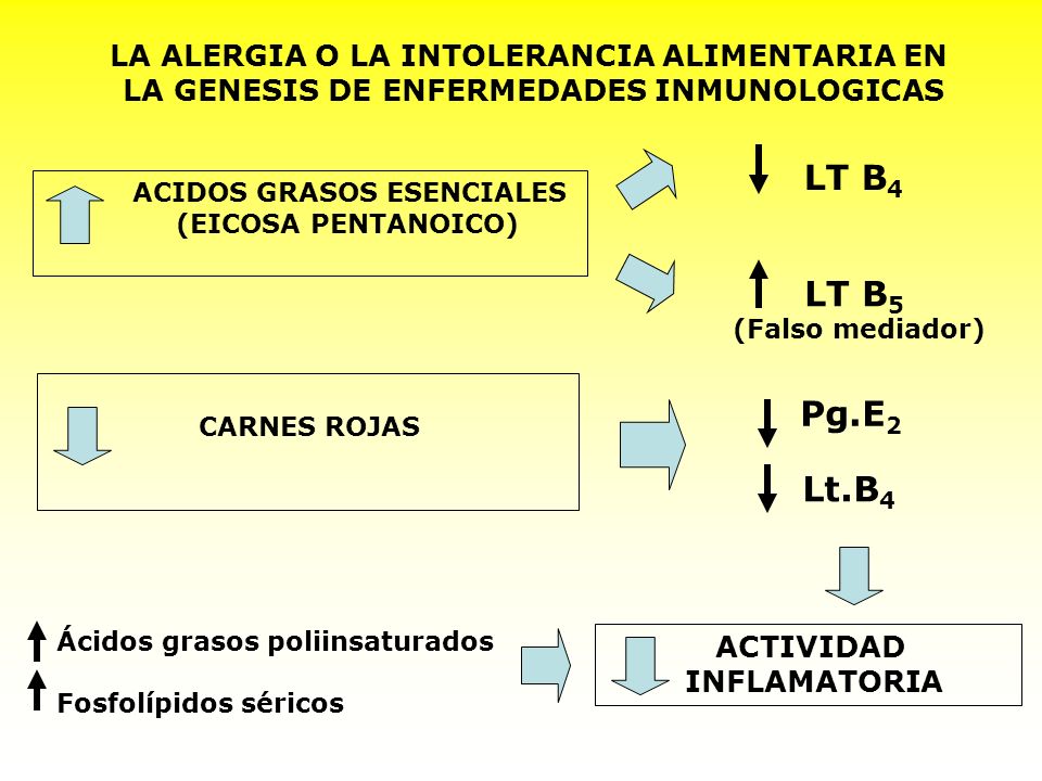 LT B4 LT B5 Pg.E2 Lt.B4 LA ALERGIA O LA INTOLERANCIA ALIMENTARIA EN