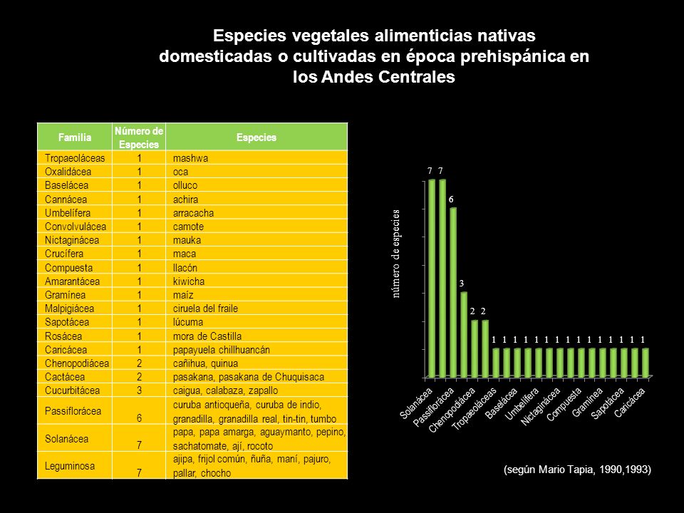 Especies vegetales alimenticias nativas domesticadas o cultivadas en época prehispánica en los Andes Centrales