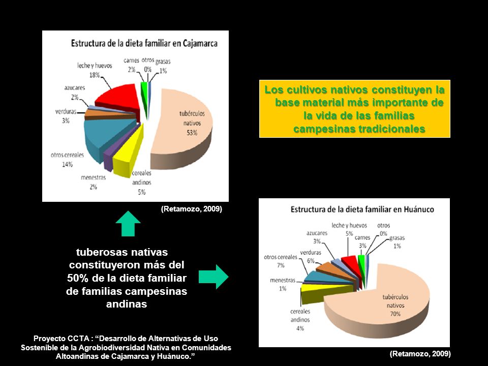 Los cultivos nativos constituyen la base material más importante de la vida de las familias campesinas tradicionales