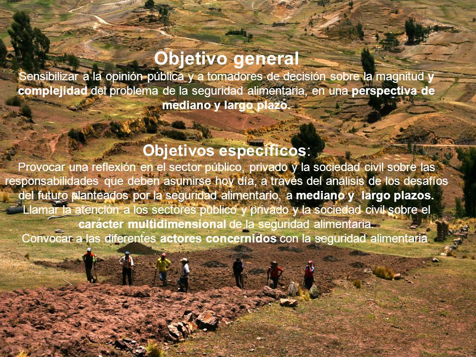 Objetivo general Sensibilizar a la opinión pública y a tomadores de decisión sobre la magnitud y complejidad del problema de la seguridad alimentaria, en una perspectiva de mediano y largo plazo.