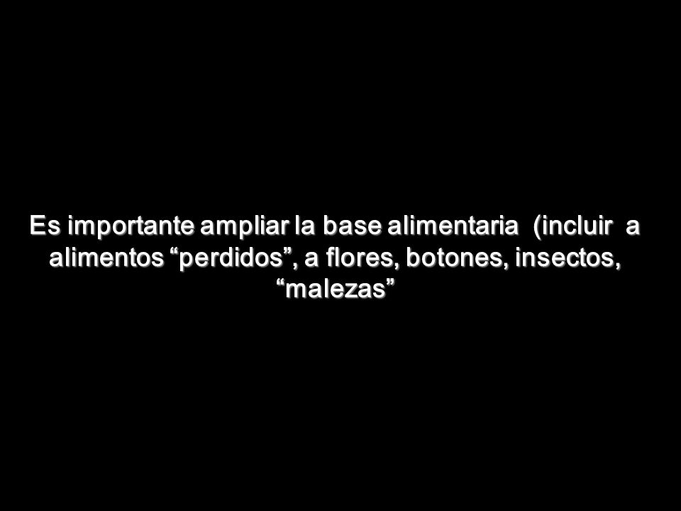Es importante ampliar la base alimentaria (incluir a alimentos perdidos , a flores, botones, insectos, malezas