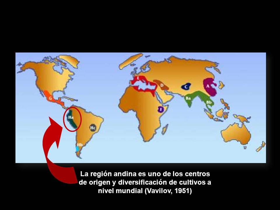La región andina es uno de los centros de origen y diversificación de cultivos a nivel mundial (Vavilov, 1951)