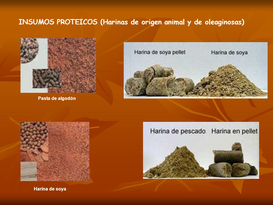 INSUMOS PROTEICOS (Harinas de origen animal y de oleaginosas)