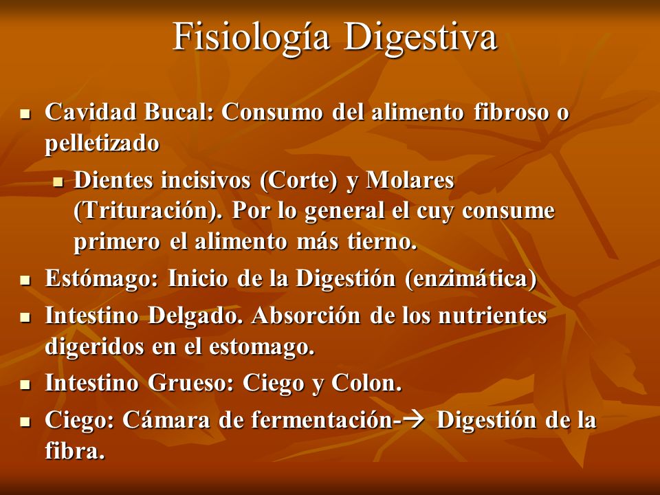 Fisiología Digestiva Cavidad Bucal: Consumo del alimento fibroso o pelletizado.