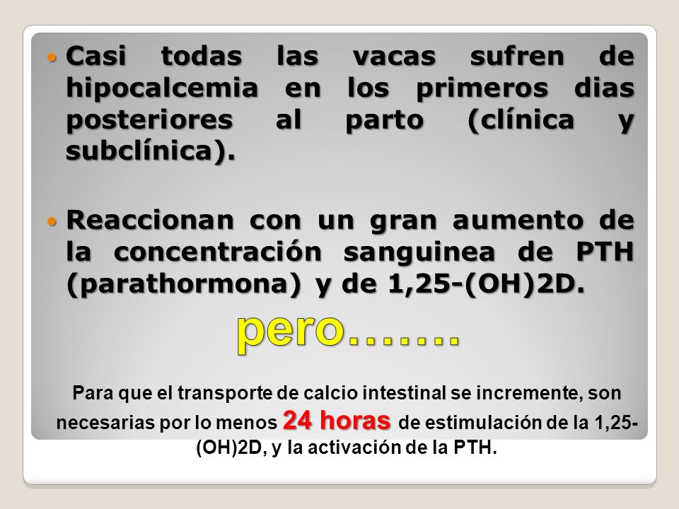 Casi todas las vacas sufren de hipocalcemia en los primeros dias posteriores al parto (clínica y subclínica).