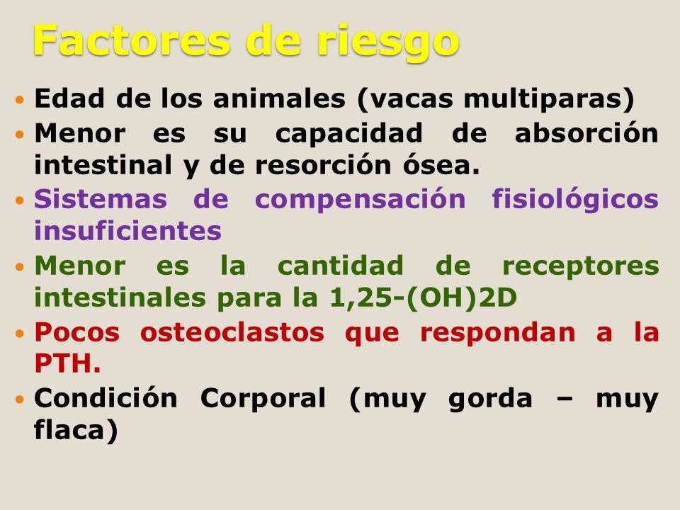 Factores de riesgo Edad de los animales (vacas multiparas)