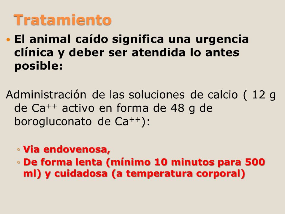 Tratamiento El animal caído significa una urgencia clínica y deber ser atendida lo antes posible: