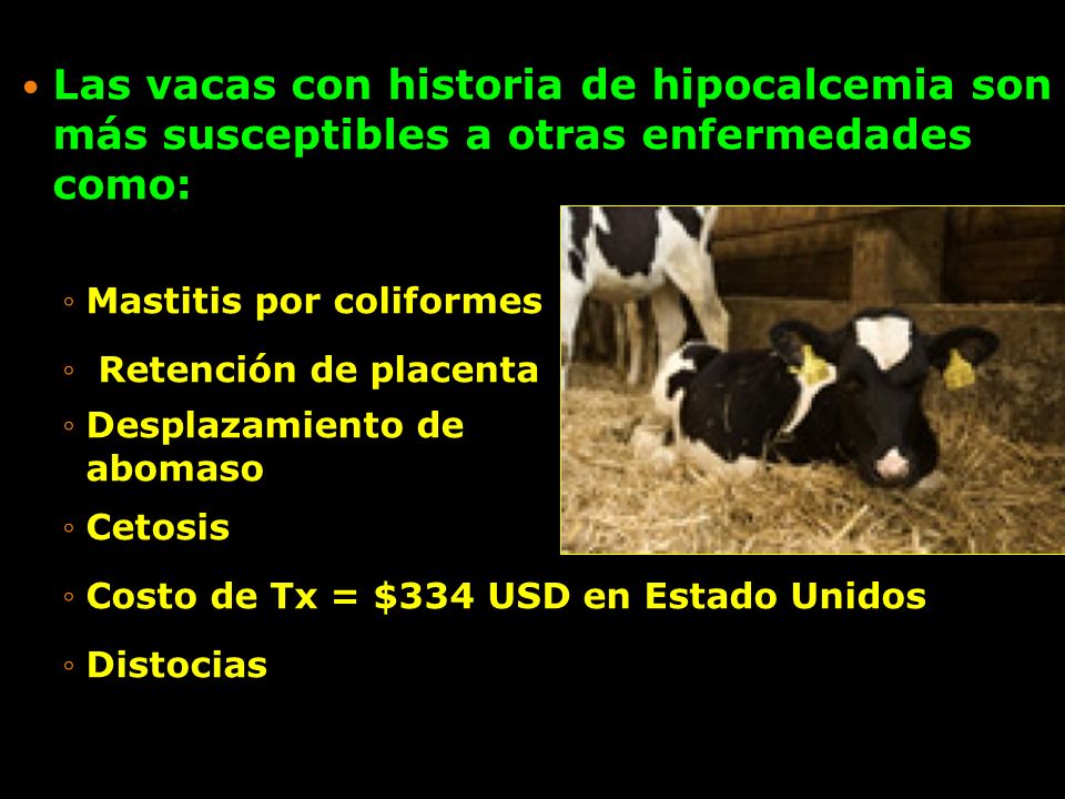 Las vacas con historia de hipocalcemia son más susceptibles a otras enfermedades como: