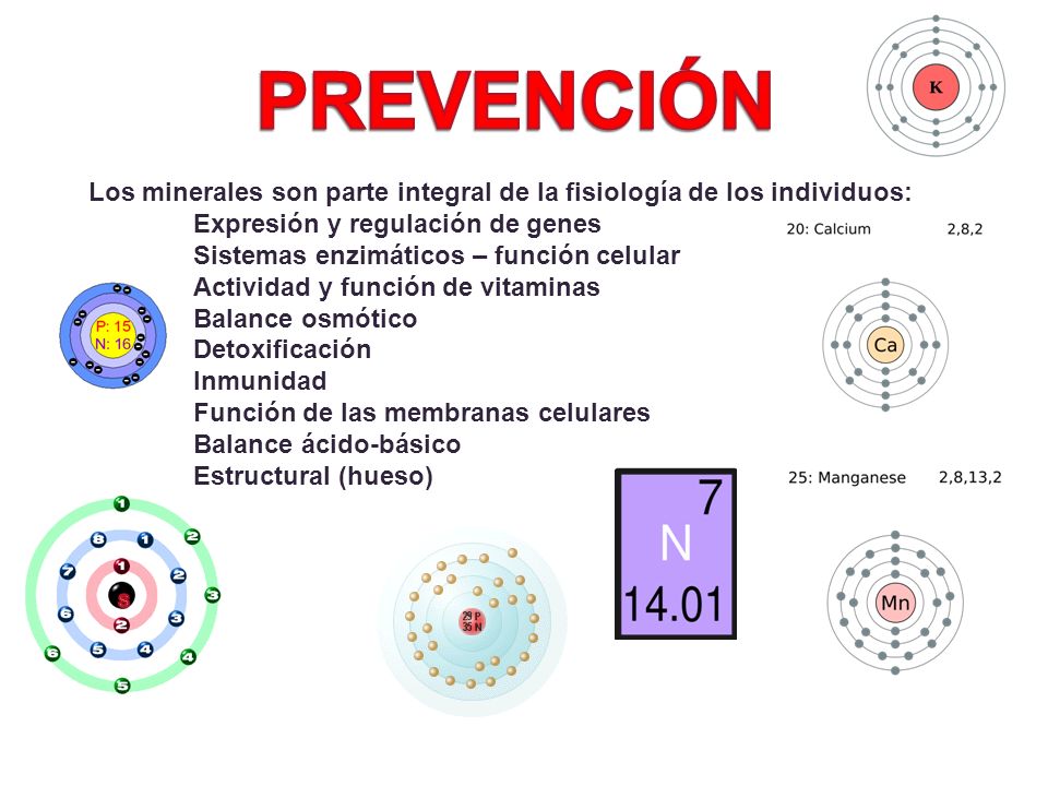 PREVENCIÓN Los minerales son parte integral de la fisiología de los individuos: Expresión y regulación de genes.