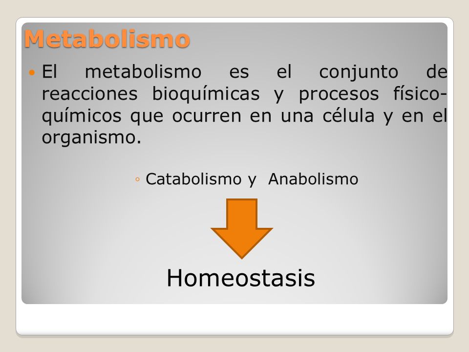 Catabolismo y Anabolismo