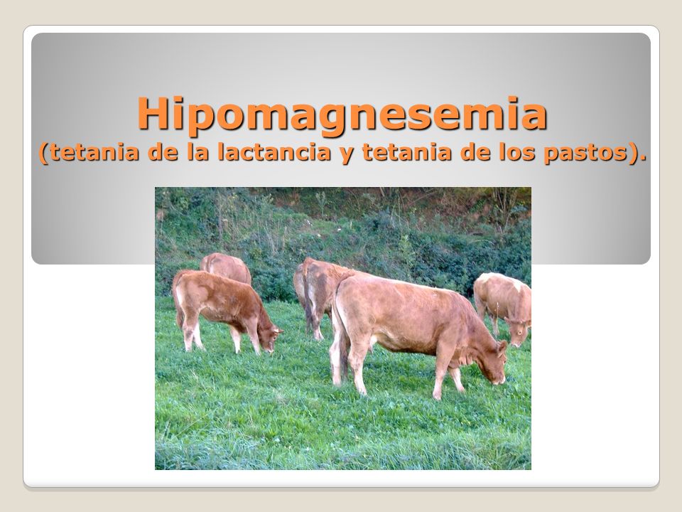 Hipomagnesemia (tetania de la lactancia y tetania de los pastos).