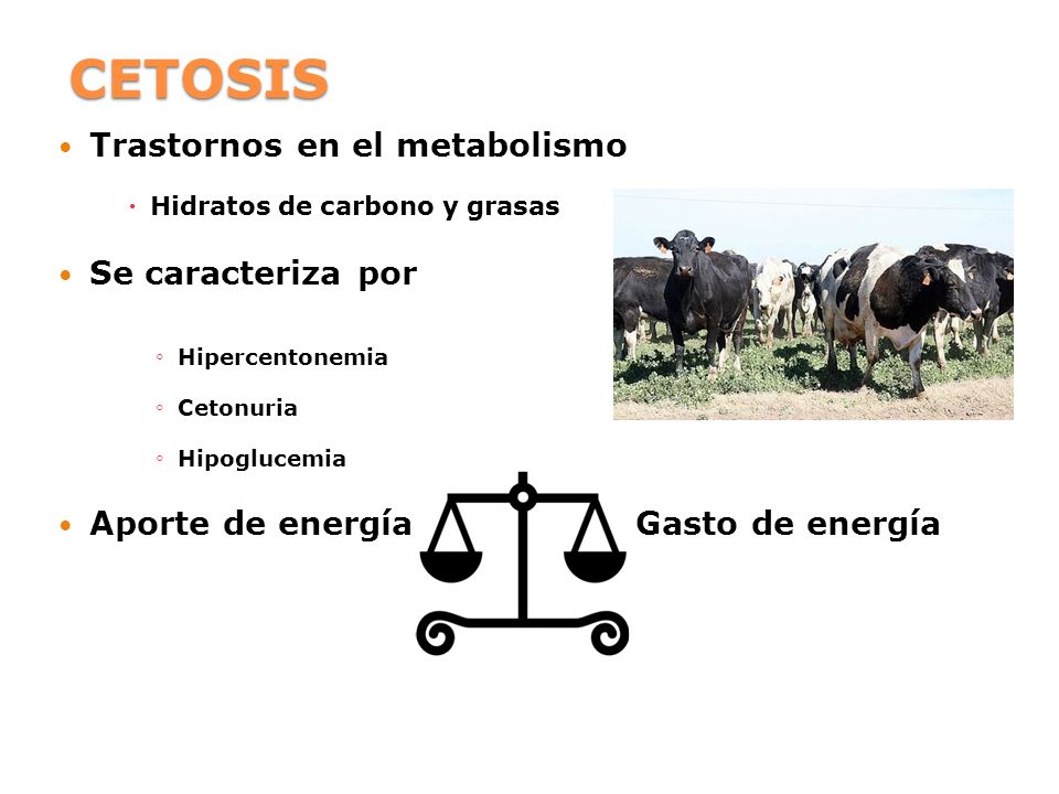 CETOSIS Trastornos en el metabolismo Se caracteriza por