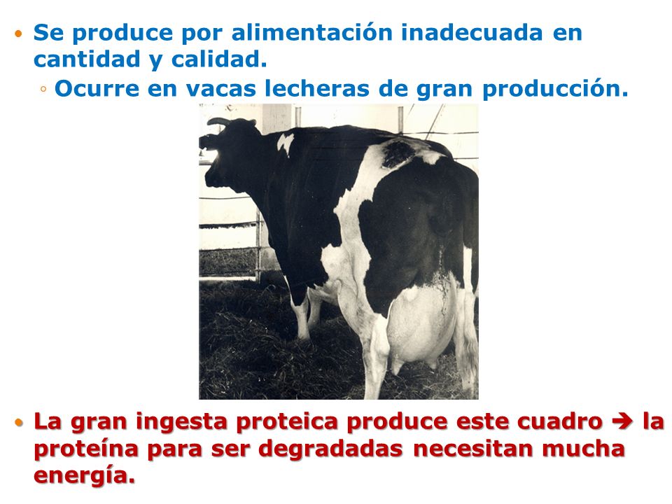 Se produce por alimentación inadecuada en cantidad y calidad.