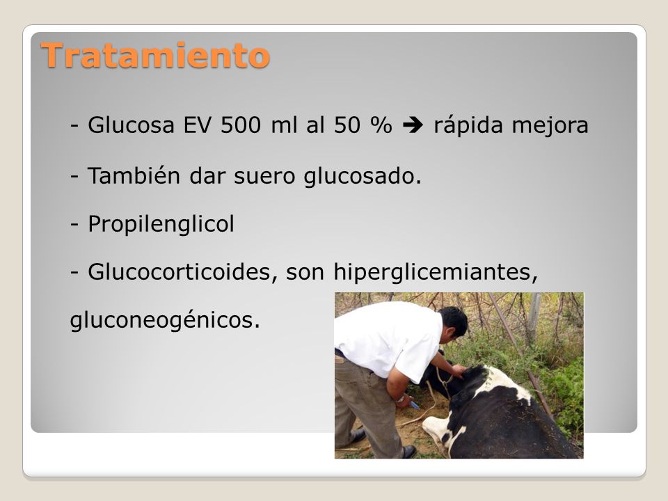 Tratamiento - Glucosa EV 500 ml al 50 %  rápida mejora