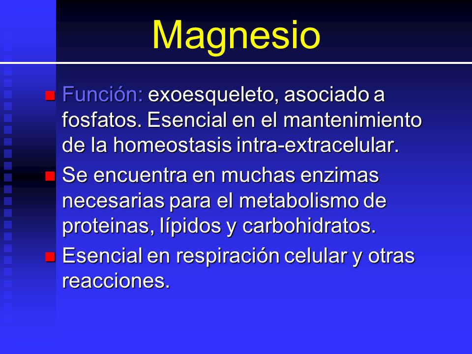 Magnesio Función: exoesqueleto, asociado a fosfatos. Esencial en el mantenimiento de la homeostasis intra-extracelular.