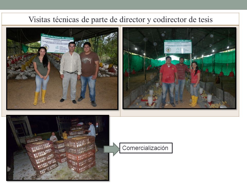 Visitas técnicas de parte de director y codirector de tesis