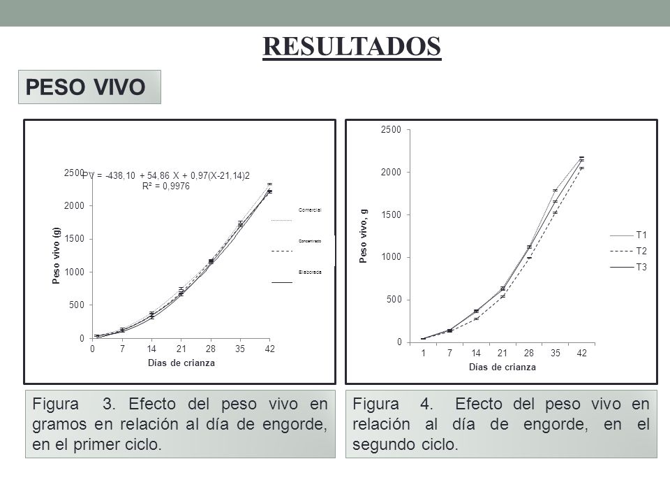 RESULTADOS PESO VIVO. Figura 3. Efecto del peso vivo en gramos en relación al día de engorde, en el primer ciclo.