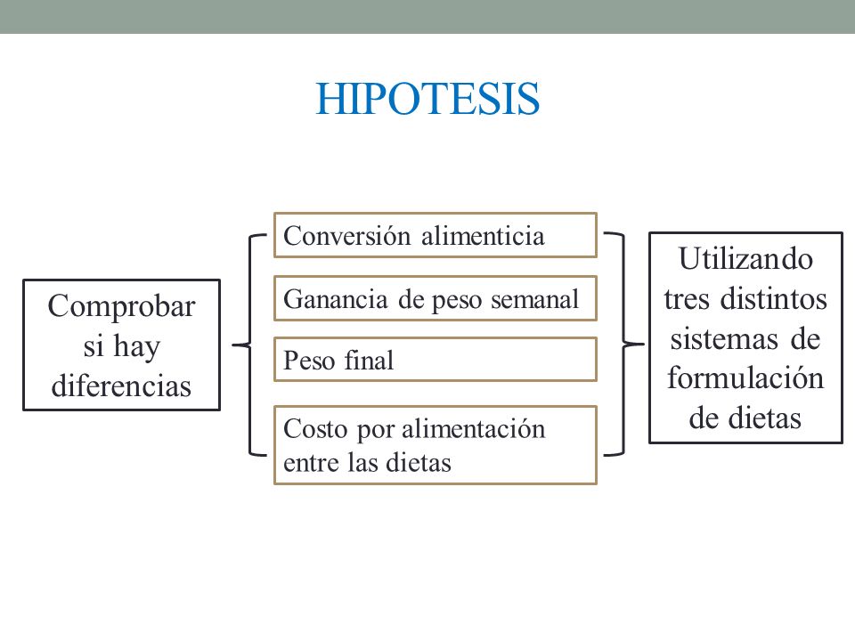 HIPOTESIS Utilizando tres distintos sistemas de formulación de dietas