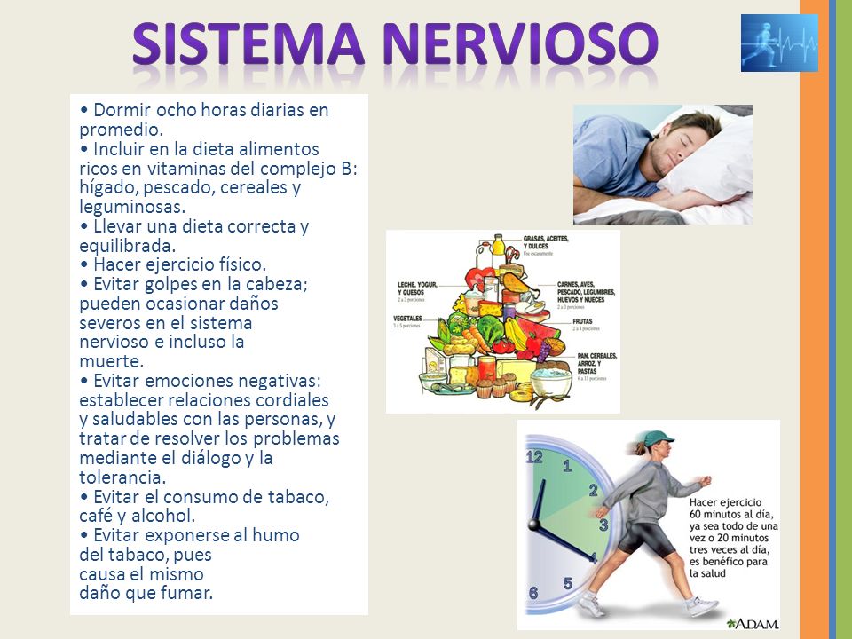 SISTEMA NERVIOSO