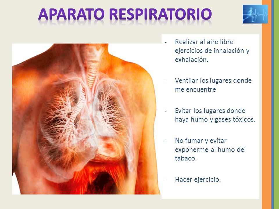 APARATO RESPIRATORIO Realizar al aire libre ejercicios de inhalación y exhalación. Ventilar los lugares donde me encuentre.
