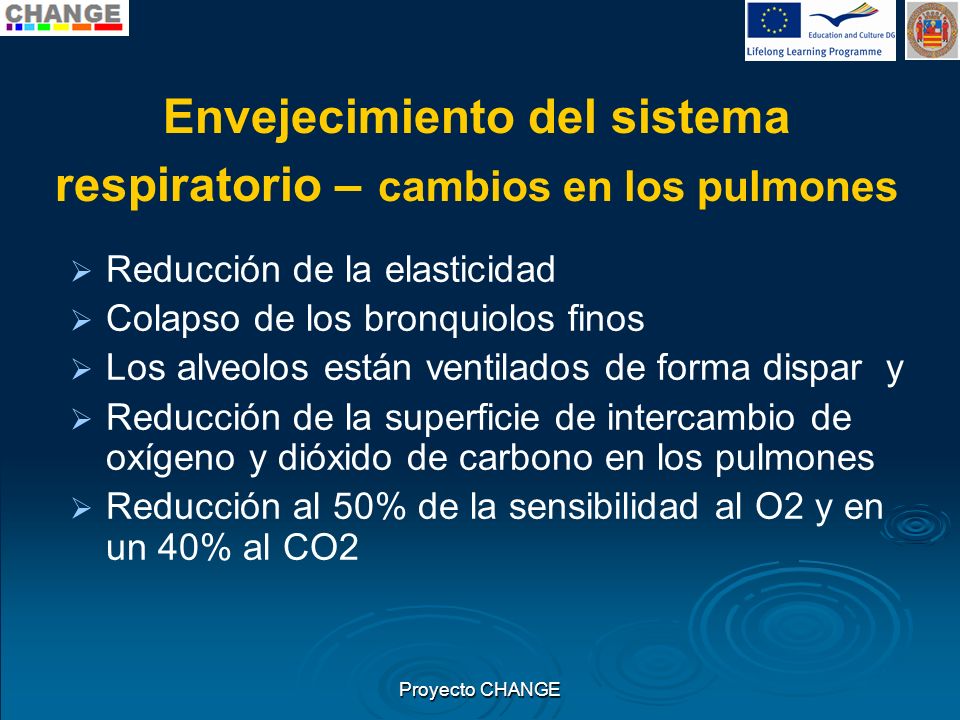 Envejecimiento del sistema respiratorio – cambios en los pulmones