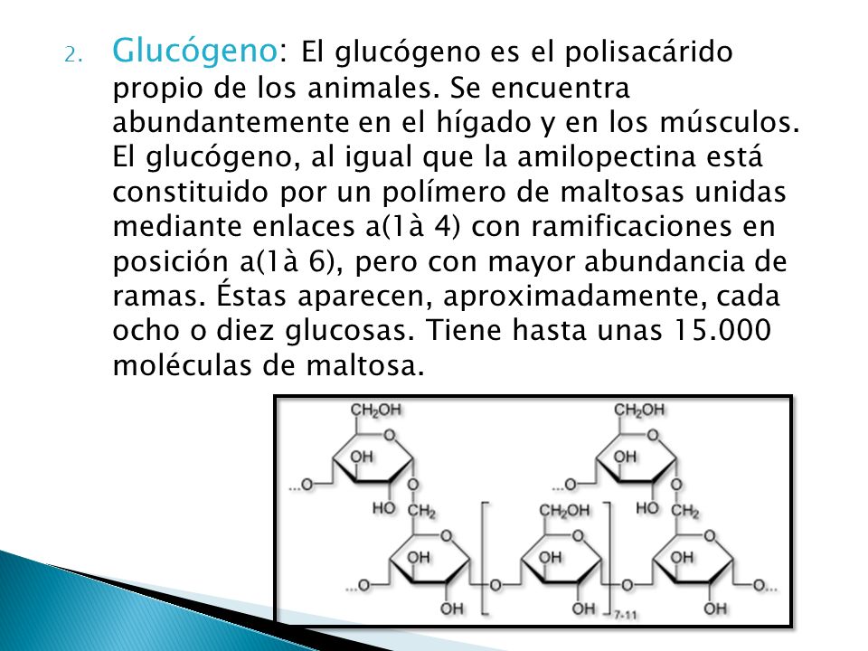 Glucógeno: El glucógeno es el polisacárido propio de los animales