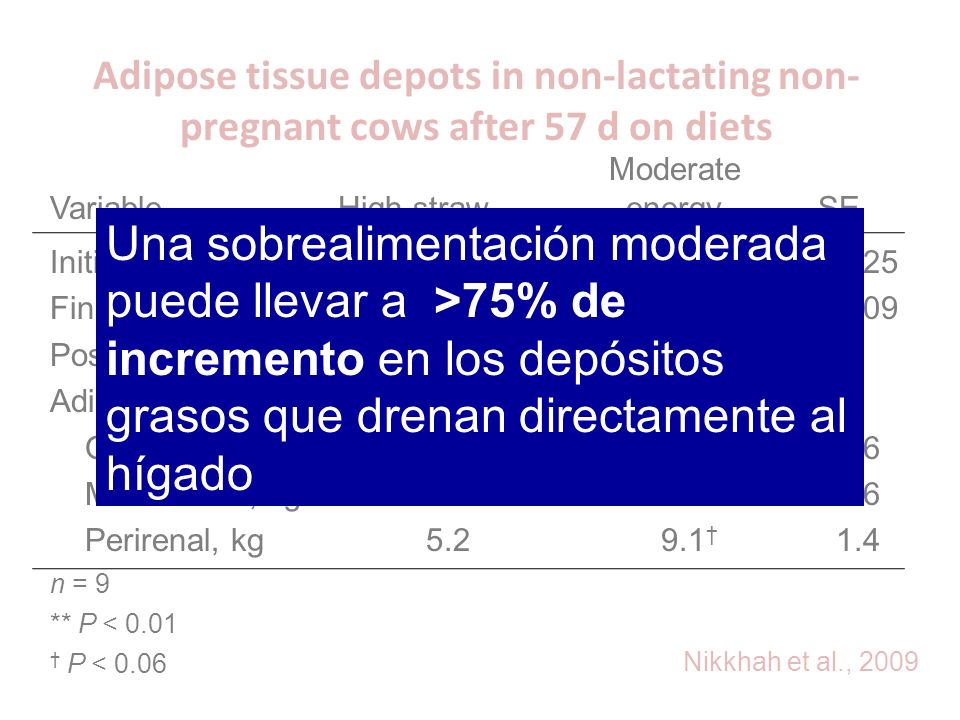 Adipose tissue depots in non-lactating non-pregnant cows after 57 d on diets