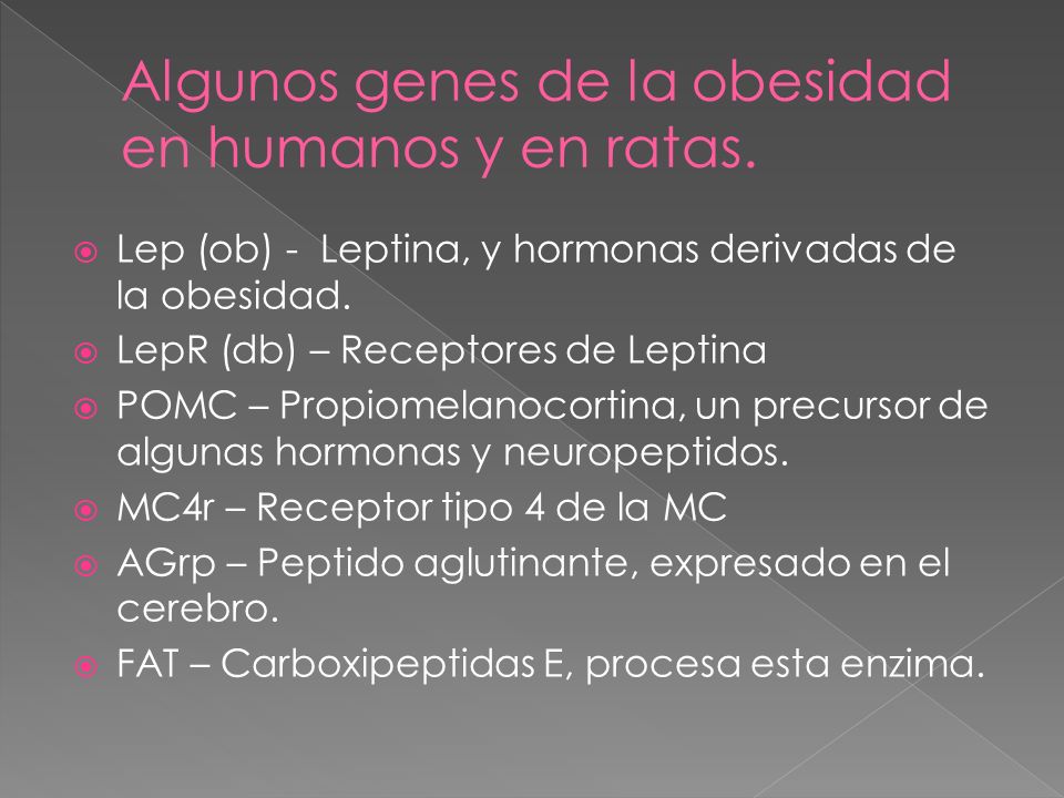 Algunos genes de la obesidad en humanos y en ratas.