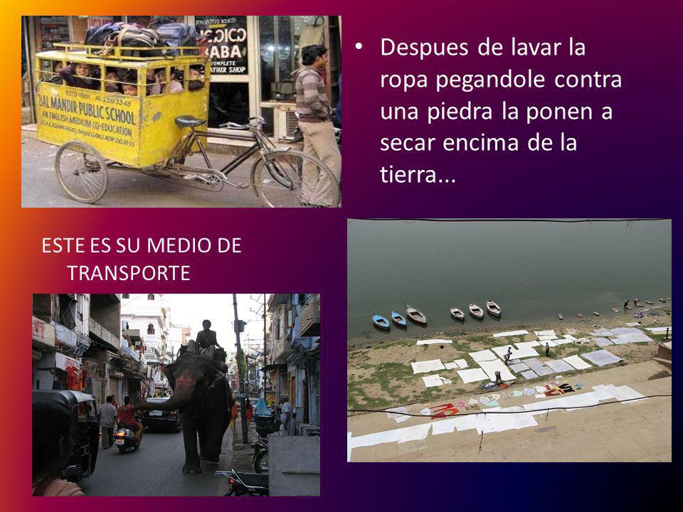 Despues de lavar la ropa pegandole contra una piedra la ponen a secar encima de la tierra...