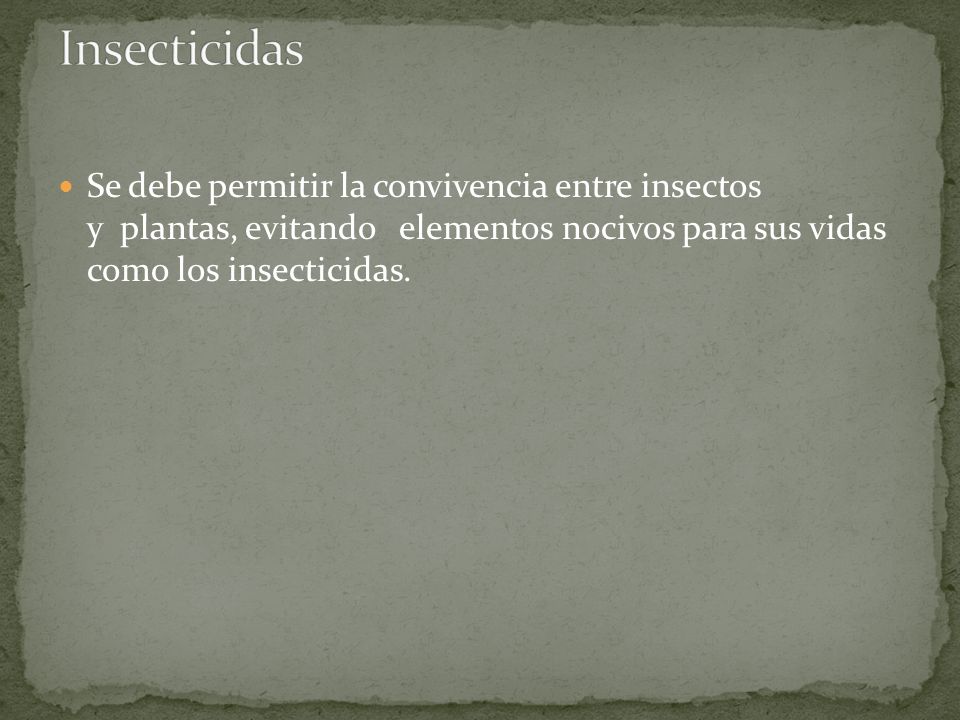 Insecticidas Se debe permitir la convivencia entre insectos y plantas, evitando elementos nocivos para sus vidas como los insecticidas.