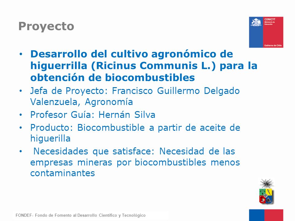 Proyecto Desarrollo del cultivo agronómico de higuerrilla (Ricinus Communis L.) para la obtención de biocombustibles.