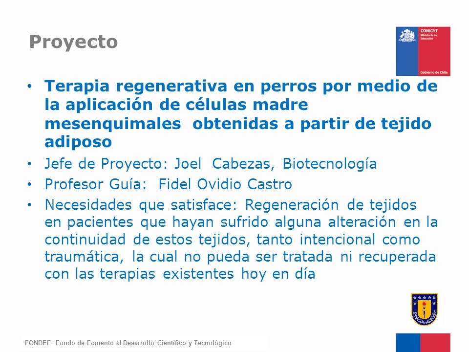 Proyecto Terapia regenerativa en perros por medio de la aplicación de células madre mesenquimales obtenidas a partir de tejido adiposo.