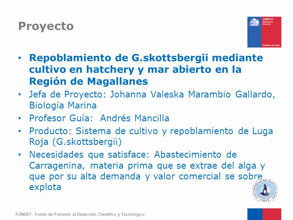 Proyecto Repoblamiento de G.skottsbergii mediante cultivo en hatchery y mar abierto en la Región de Magallanes.