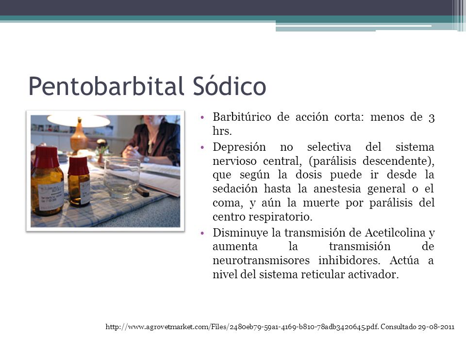Pentobarbital Sódico Barbitúrico de acción corta: menos de 3 hrs.