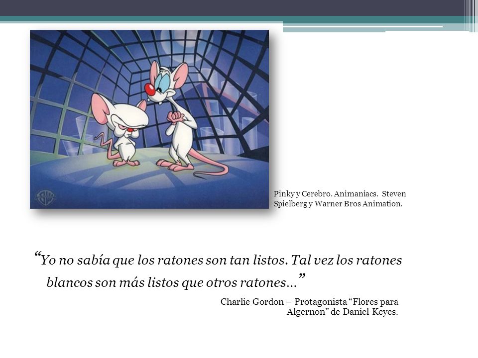 Pinky y Cerebro. Animaniacs. Steven Spielberg y Warner Bros Animation.