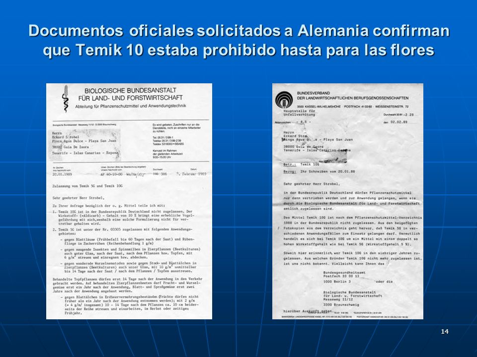 Documentos oficiales solicitados a Alemania confirman que Temik 10 estaba prohibido hasta para las flores