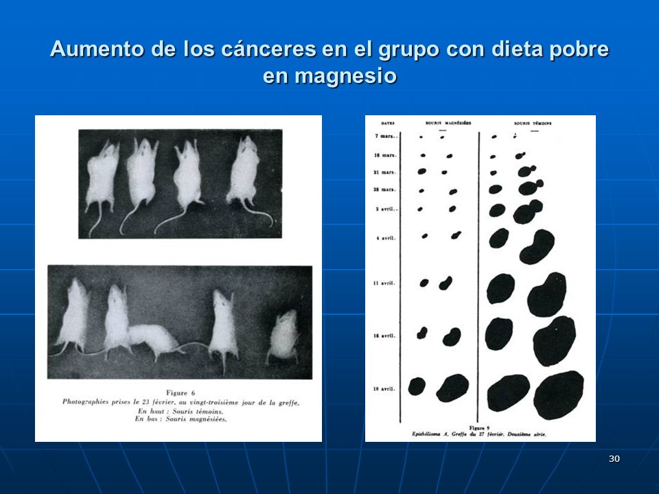 Aumento de los cánceres en el grupo con dieta pobre en magnesio