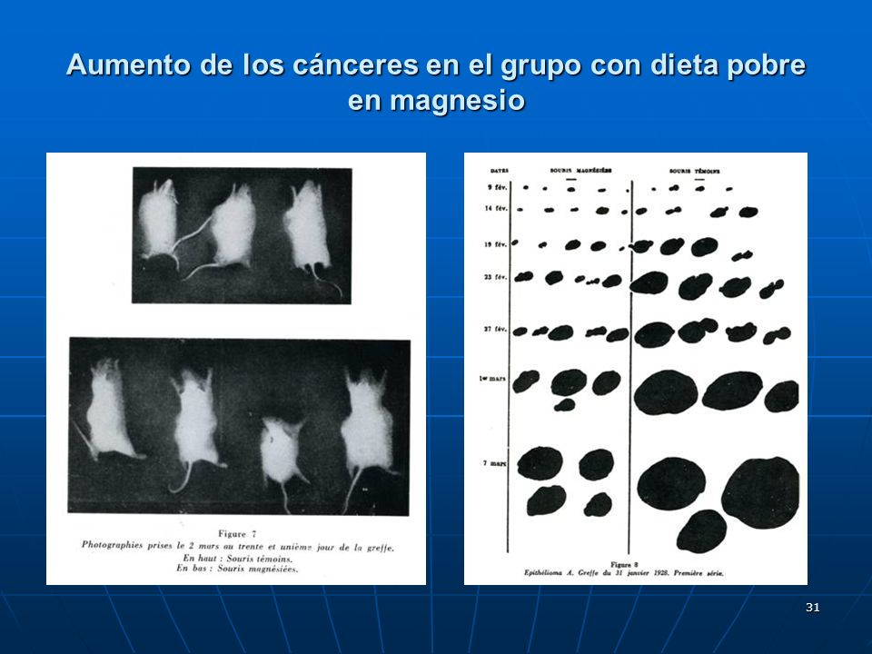 Aumento de los cánceres en el grupo con dieta pobre en magnesio
