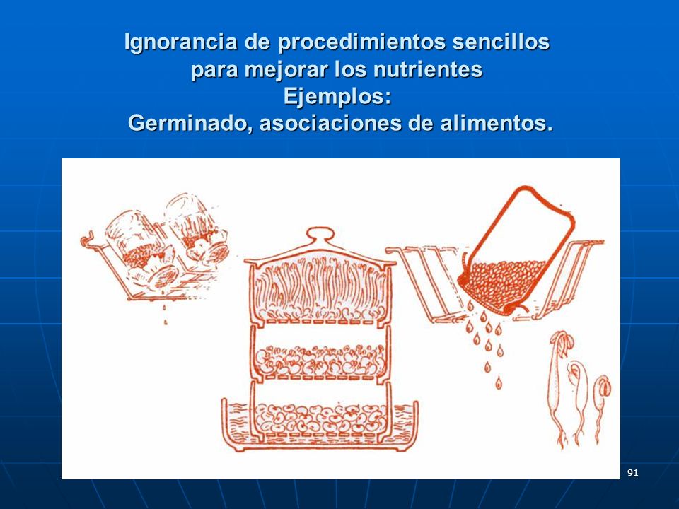 Ignorancia de procedimientos sencillos para mejorar los nutrientes Ejemplos: Germinado, asociaciones de alimentos.