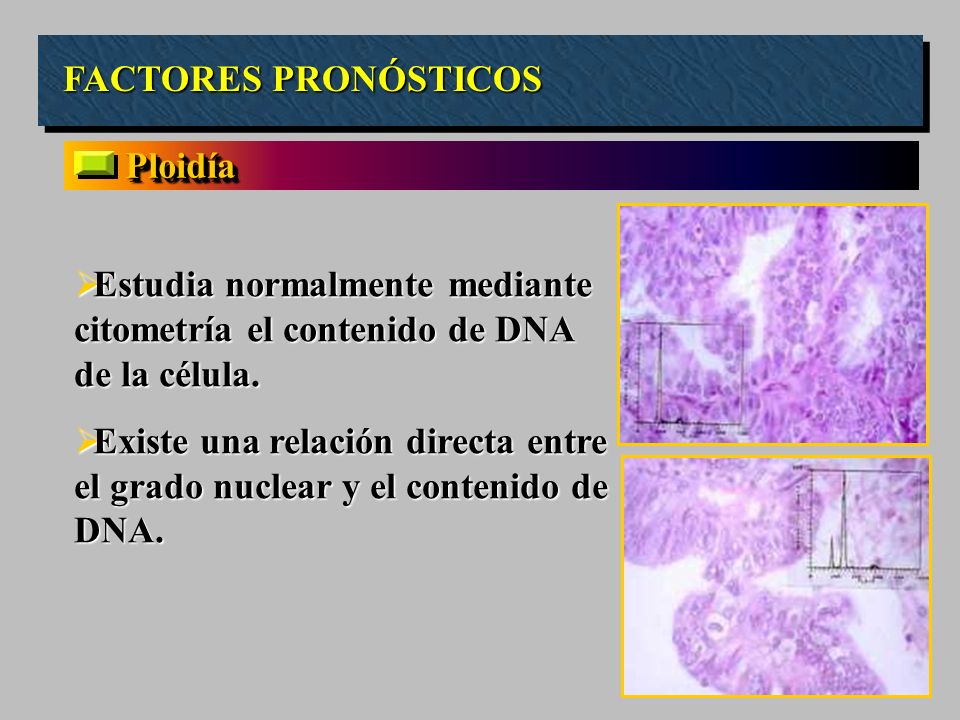 FACTORES PRONÓSTICOS Ploidía. Estudia normalmente mediante citometría el contenido de DNA de la célula.