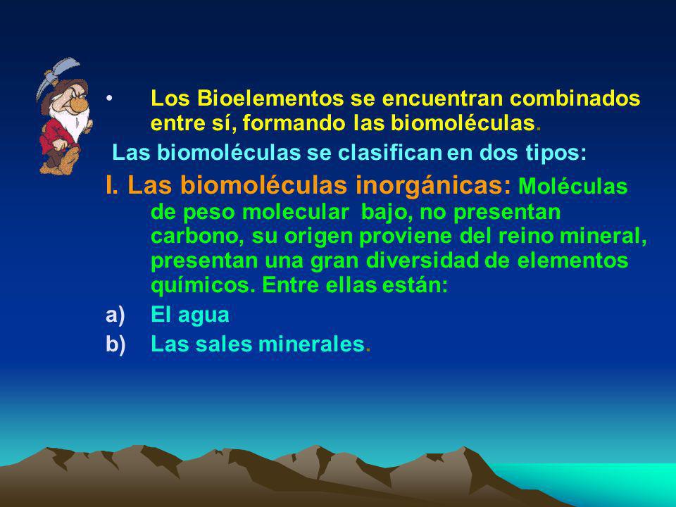 Los Bioelementos se encuentran combinados entre sí, formando las biomoléculas.