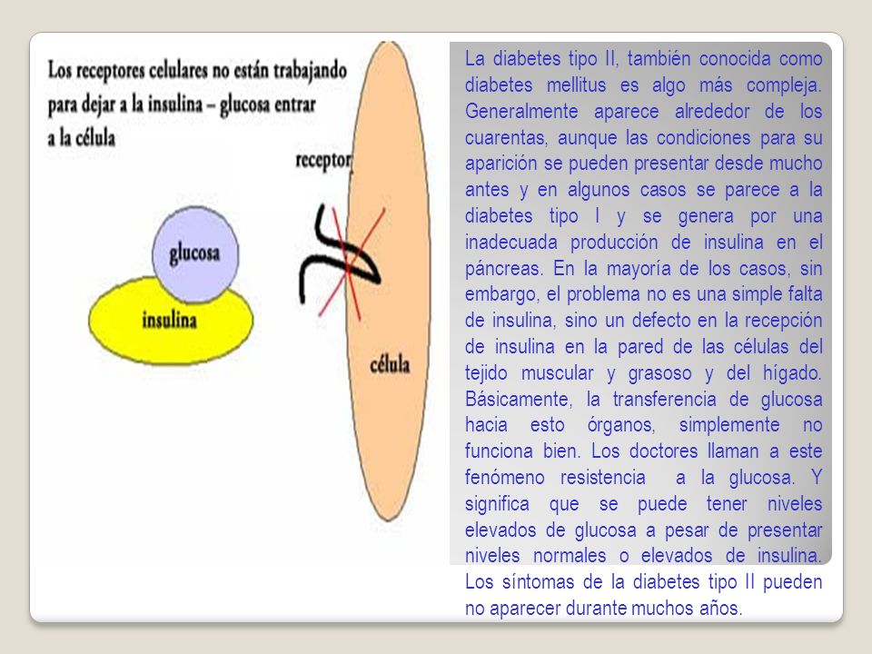 La diabetes tipo II, también conocida como diabetes mellitus es algo más compleja.